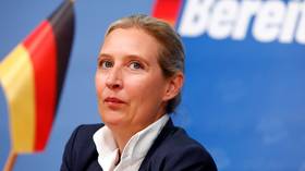 Germany could copy Brexit  – AFD leader