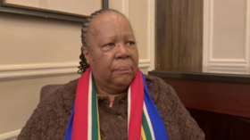 Our goal was to highlight the plight of Palestine - South African Foreign Minister