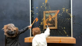 Protesters throw soup at Mona Lisa (VIDEO)