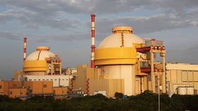 Russia to launch nuclear power reactor in India this year – Rosatom