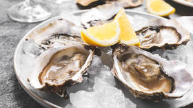 African country becomes top oyster supplier to Russia – data