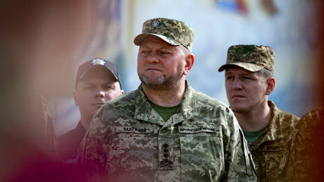 Top Ukrainian military commander, General Valery Zaluzhny