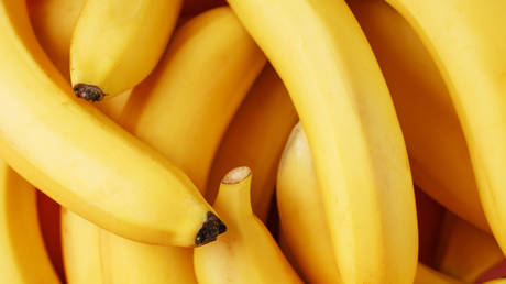 Russland schränkt Bananenimporte aus südamerikanischen Ländern ein