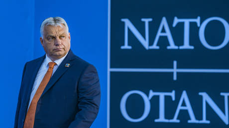 West totally wrong about Ukraine – NATO member — RT World News