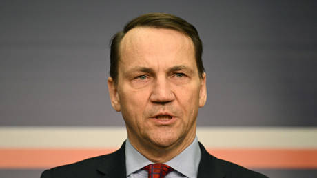 Polish Foreign Minister Radoslaw Sikorski address a press conference on February 15, 2024 at the Foreign Ministry in Warsaw, Poland.