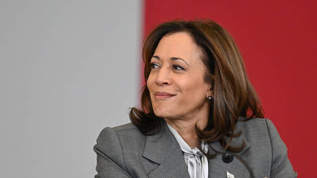 FILE PHOTO: Vice President of the United States, Kamala Harris speaks about the Biden Administration's latest actions to reduce gun violence during a program in Charlotte, NC, United States on January 11, 2024.