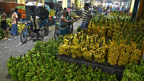 India eyes banana market opportunity in Russia — RT India