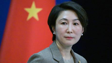 FILE PHOTO: Chinese Foreign Ministry spokeswoman Mao Ning during a press conference.