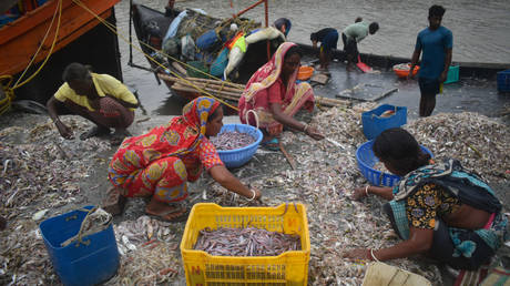 Indien kämpft bei der WTO für seine Fischerei und Landwirtschaft – Medien – RT India