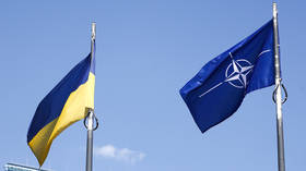 Ukraine should not pin hopes on the NATO-UK offer