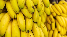 Moskou heft het bananenverbod in Ecuador op   