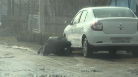 FSB foils purported Ukrainian bomb plot (VIDEO)