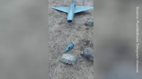 British-made kamikaze drone captured in Donbass (VIDEO)