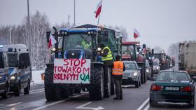 Zelensky criticizes protesting Polish farmers