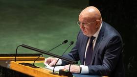 No such thing as ‘occupied Ukrainian territories’, Moscow tells UN