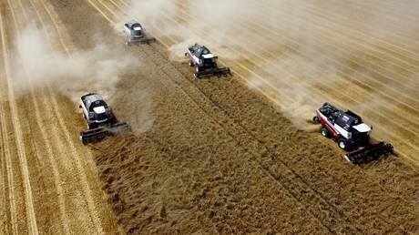 FILE PHOTO: Agricultural workers operate combines in the fields of Rostselmash company during wheat harvesting outside the village of Bolshaya Neklinovka, in the Rostov region, Russia.