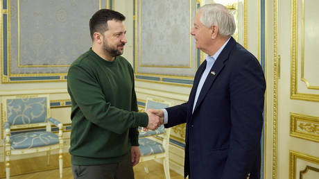 FILE PHOTO. Ukraine's President Vladimir Zelensky shakes hands with US Senator Lindsey Graham prior to their talks in Kiev.