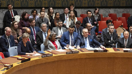 US Ambassador Linda Thomas-Greenfield votes to abstain as the UNSC passes a Gaza ceasefire resolution, March 25, 2024.
