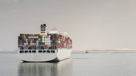 Red Sea attacks halving Suez Canal trade