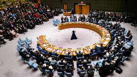 New Delhi slams UN reform proposal from Italian-led group