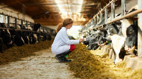 Russian producers target new market for dairy exports