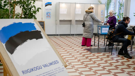 FILE PHOTO: People cast their vote at a polling station at the University of Tallinn,  Estonia.