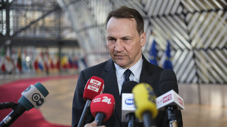 FILE PHOTO: Polish Minister of Foreign Affairs Radoslaw Sikorski.