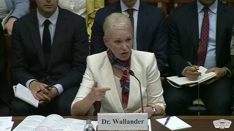 Celeste Wallander, US Assistant Secretary of Defense for International Security Affairs