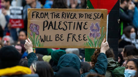 File photo: A pro-Palestinian activist holds up a sign reading 'From The River To The Sea Palestine Will Be Free' during a protest in London, UK, November 4, 2023.
