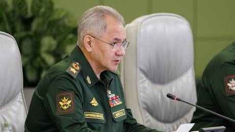 FILE PHOTO: Russian Defense Minister Sergey Shoigu.