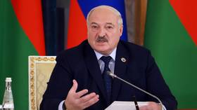 Belarusian president explains why he banned sanctions complaints