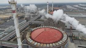 Ukrainian drone attack on nuclear plant a ‘dangerous provocation’ – Kremlin 