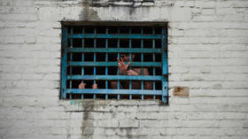Ukraine moves closer to drafting convicts