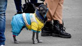 EU country’s huge bill for Ukrainian refugees’ pets revealed – media