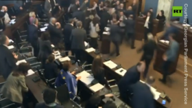 WATCH violent brawl erupt in Georgian parliament