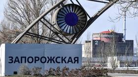 No Russian heavy weapons at Zaporozhye plant – IAEA boss