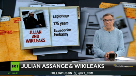 Will the US Justice Department offer Julian Assange a deal?