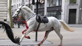 Cavalos cobertos de sangue enlouquecem no centro de Londres (VÍDEO)