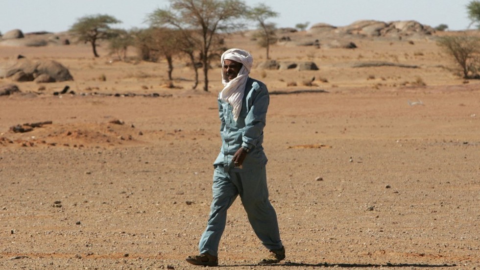 UK should support Moroccan sovereignty over Western Sahara – British MPs