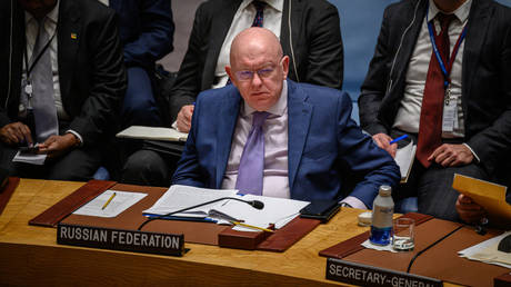 US has taken UN Security Council hostage – Moscow