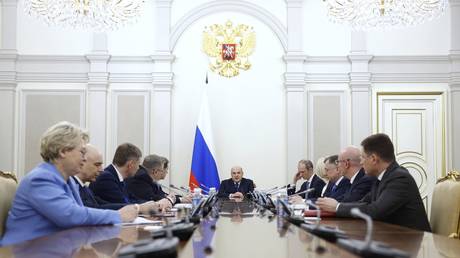 FILE PHOTO: Russian Prime Minister Mikhail Mishustin chairs a cabinet meeting.