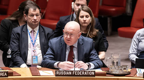 FILE PHOTO: Russian ambassador to the UN, Vassily Nebenzia