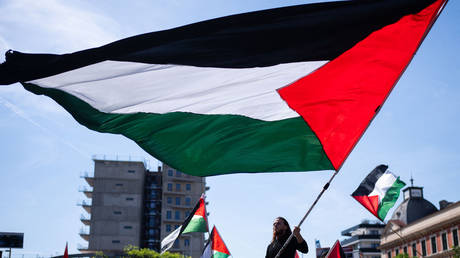 FILE PHOTO: A demonstrator waves the Palestinian flag