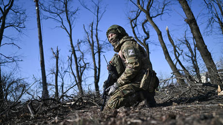 FILE PHOTO: A Russian serviceman near Donetsk.