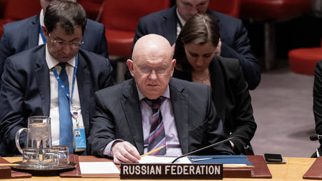 FILE PHOTO: Russian Ambassador to the UN Vassily Nebenzia.