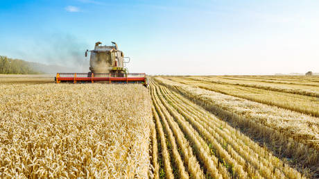 EU hikes tariffs on Russian and Belarusian grain 
