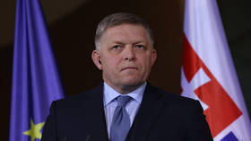 Slovak PM Robert Fico: Noted critic of Western approach to Ukraine conflict