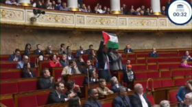 French parliament interrupted as MP raises Palestinian flag (VIDEO)