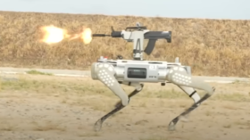 China shows off robot ‘dogs’ equipped with assault rifles (VIDEO)
