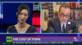 The cost of porn